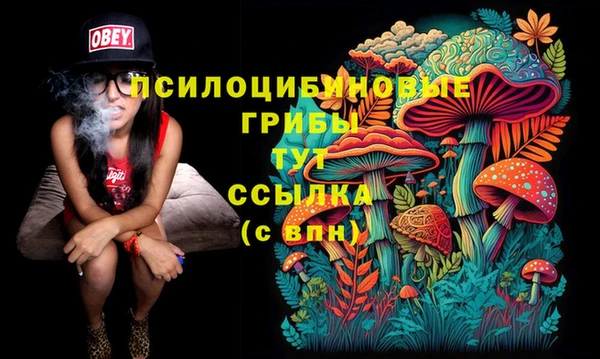 МДПВ Каменногорск